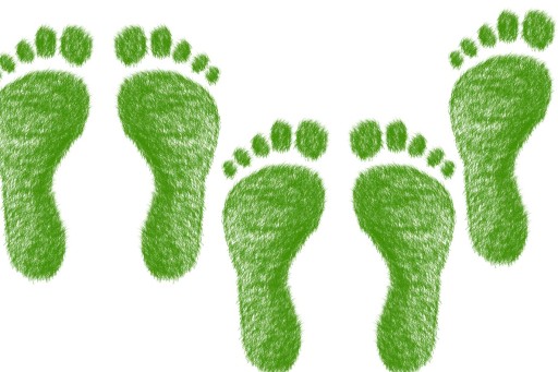 12 Schritt einer Prostatakrebserkrankung Prostata Hilfe Deutschland: grüne Fußabdrücke