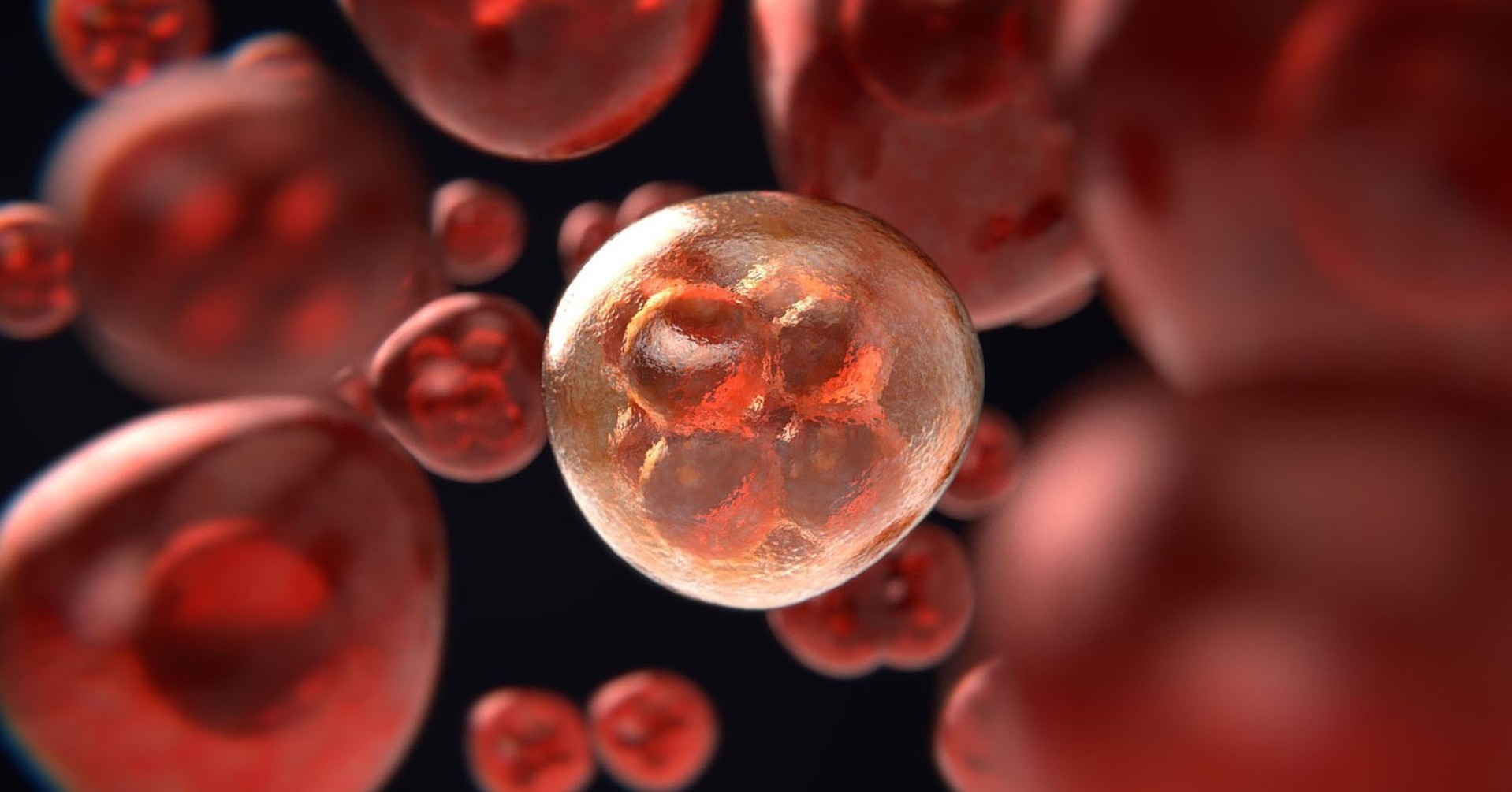 Prostata Hilfe Deutschland: Eine Krebszelle in Nahaufnahme