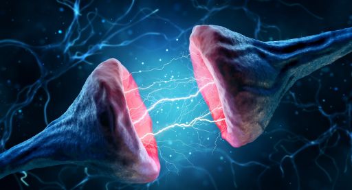 Prostata Hilfe Deutschland: Illustration Nervenzellen