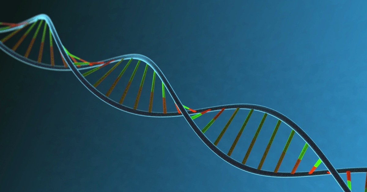 Prostatakrebs Risiko aus den Genen ablesen