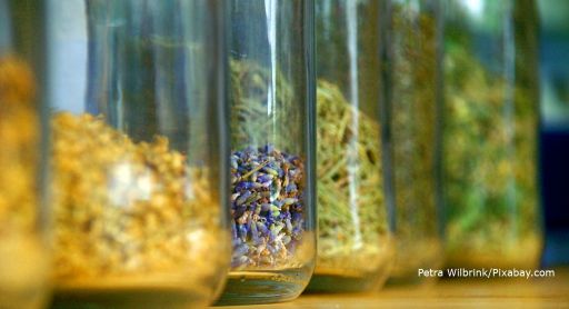 Prostata Hilfe Deutschland: Illustrationsbild - Kräuter im Glas